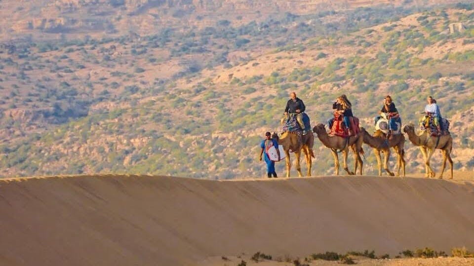Half-day camel ride and sandboarding adventure