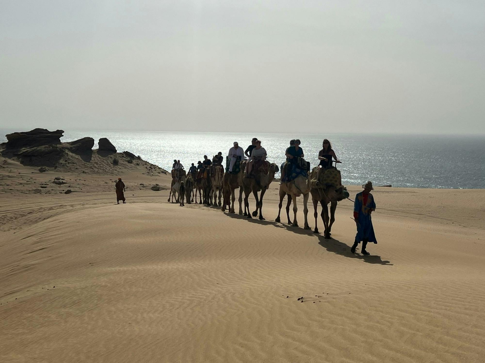 Half-day camel ride and sandboarding adventure