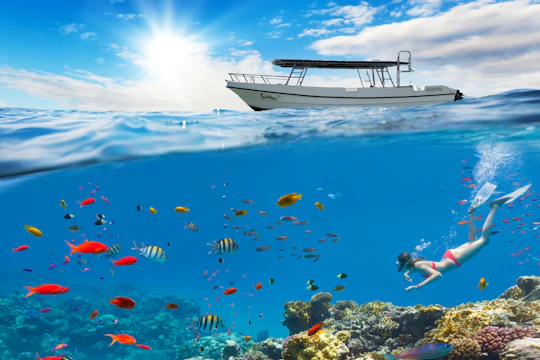 Riviera Maya half-day snorkelling tour