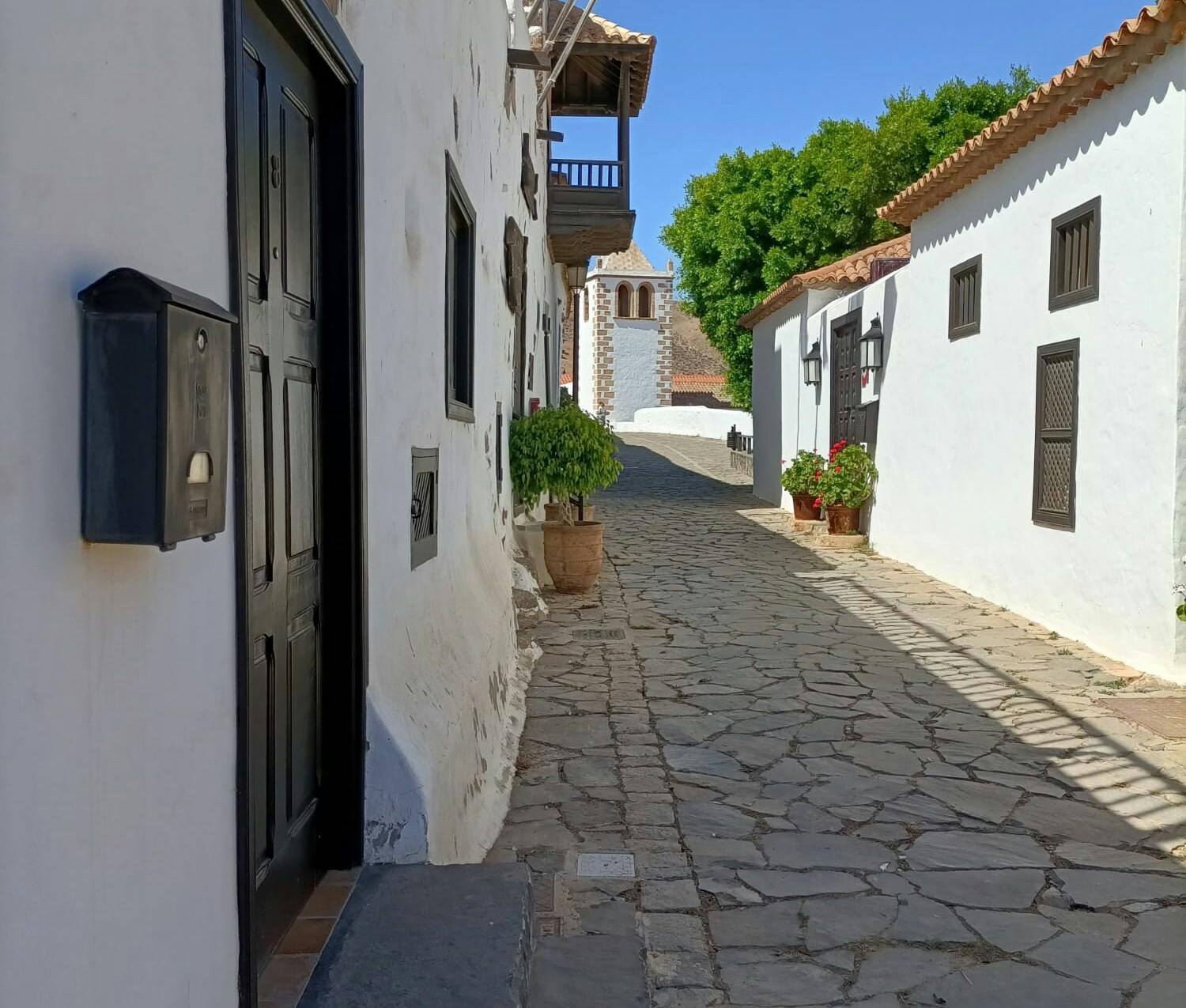 Betancuria half-day hiking tour