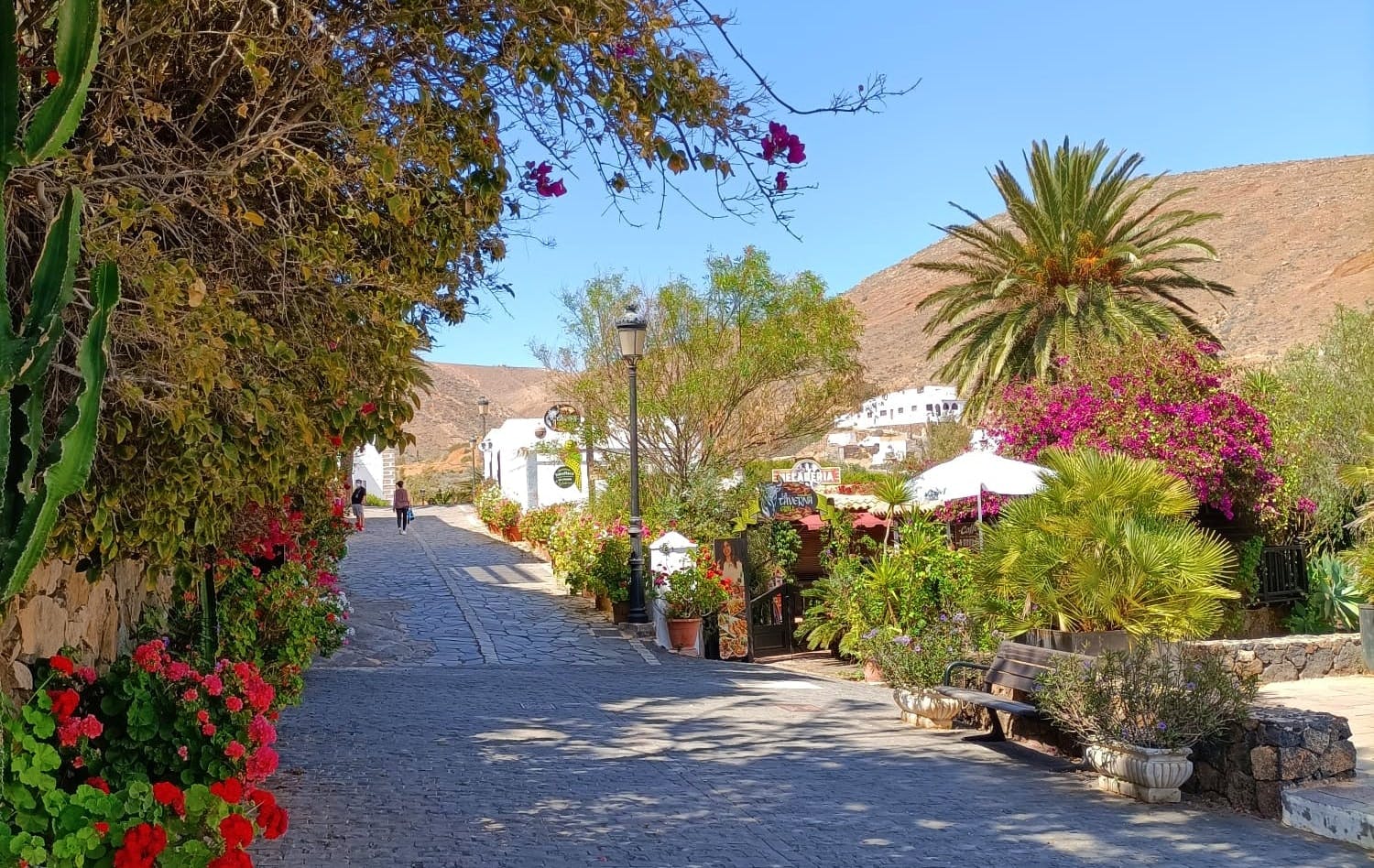 Betancuria half-day hiking tour