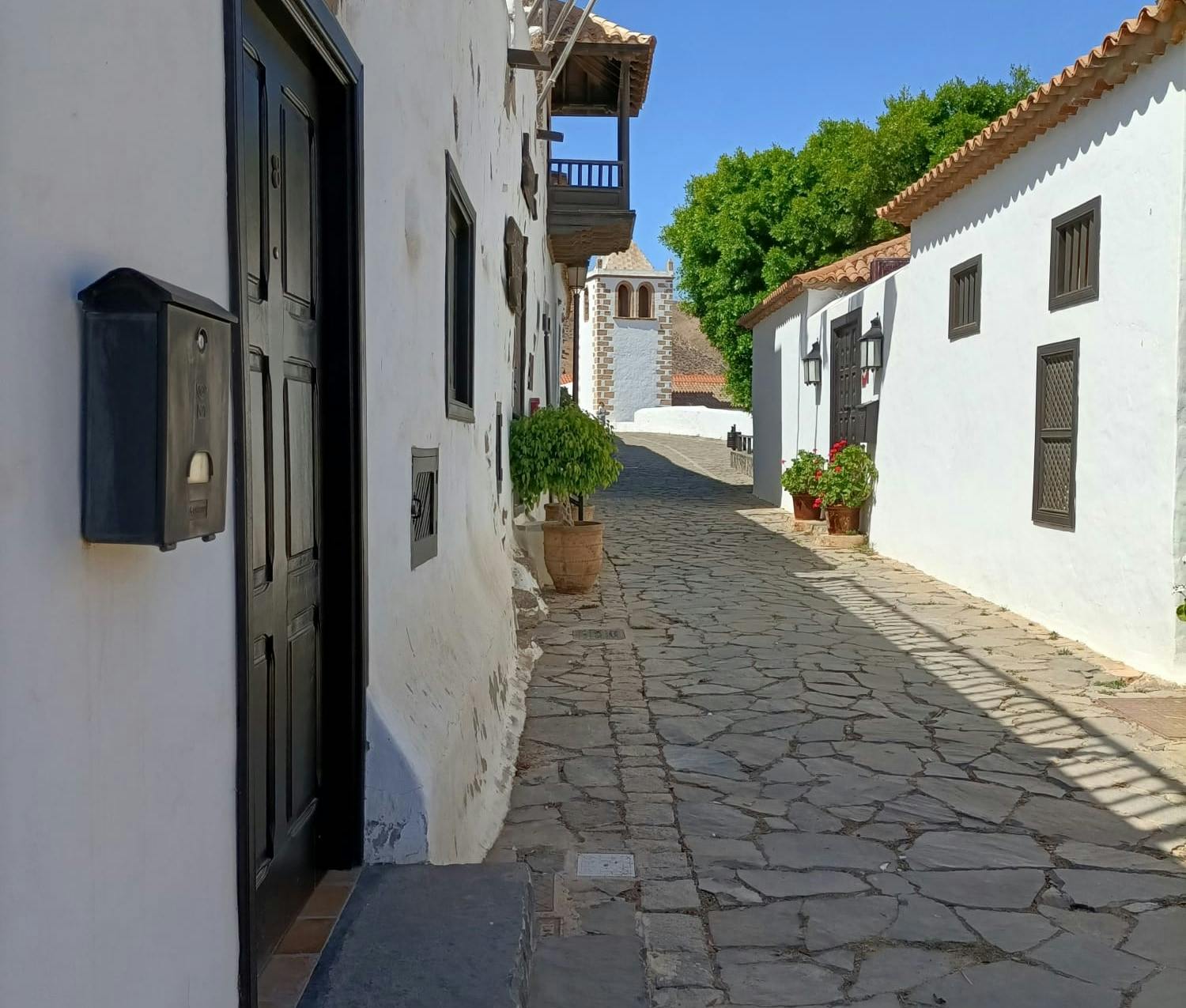 Betancuria half-day hiking tour