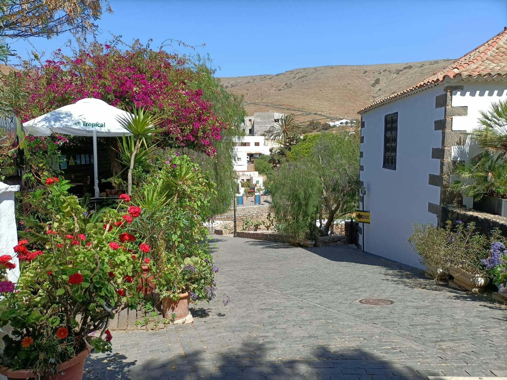 Betancuria half-day hiking tour