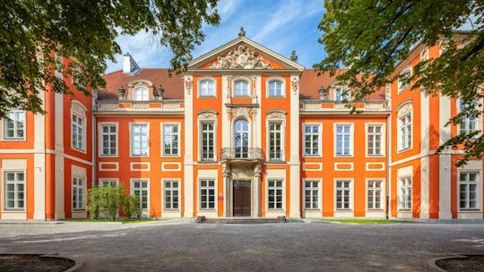 Privater Rundgang auf den Spuren von Chopins frühem Leben in Warschau