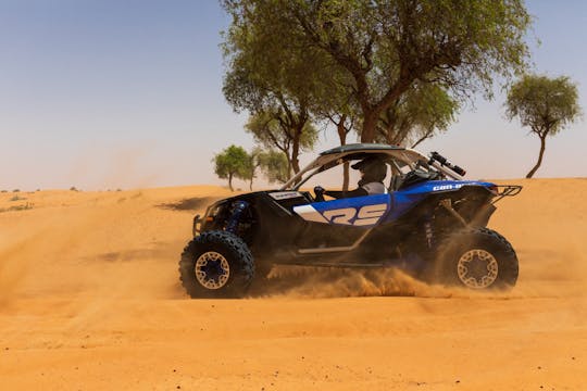 Passeio de meio dia de buggy nas dunas de Dubai
