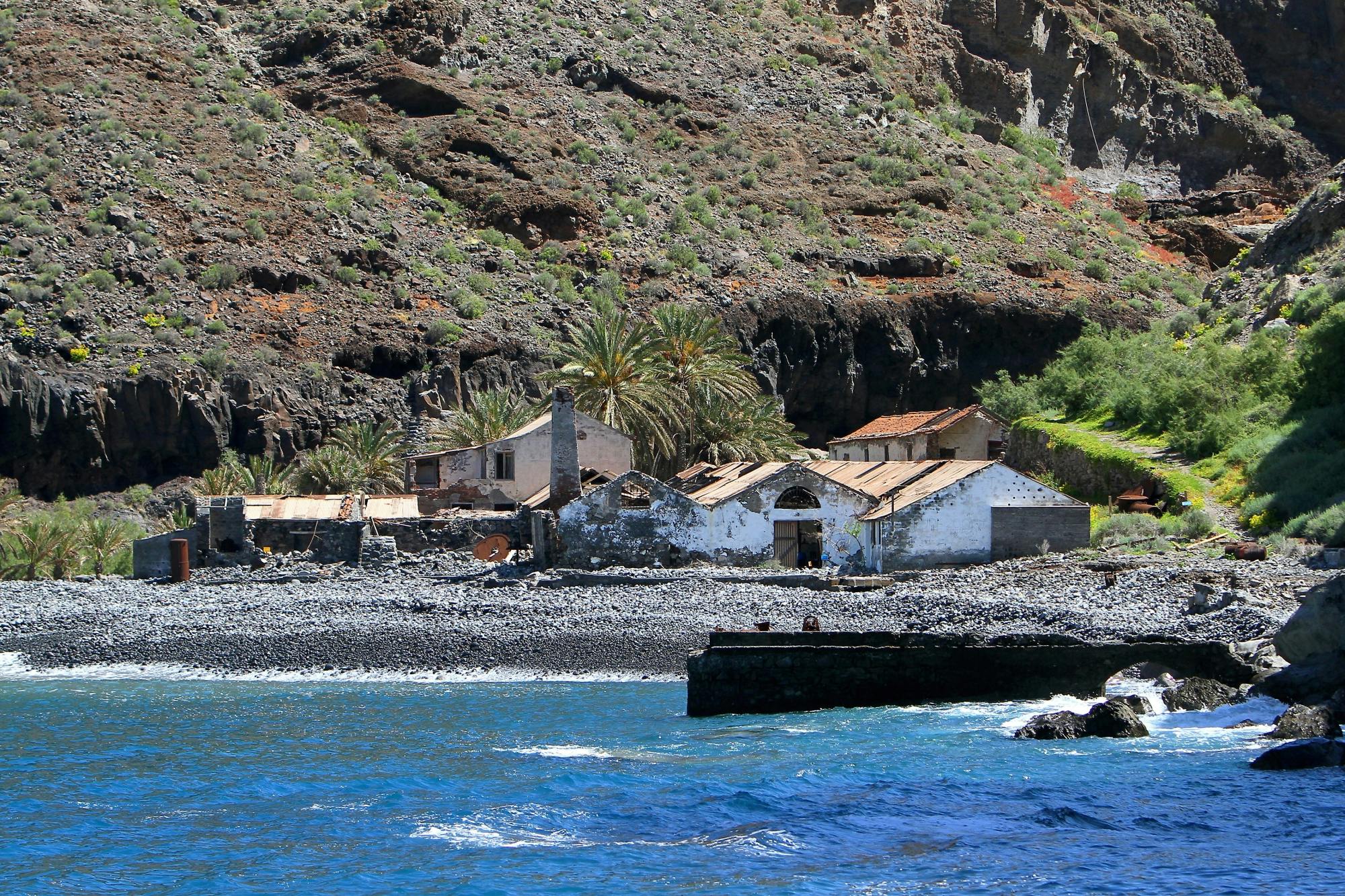 La Gomera Whale Watching Cruise