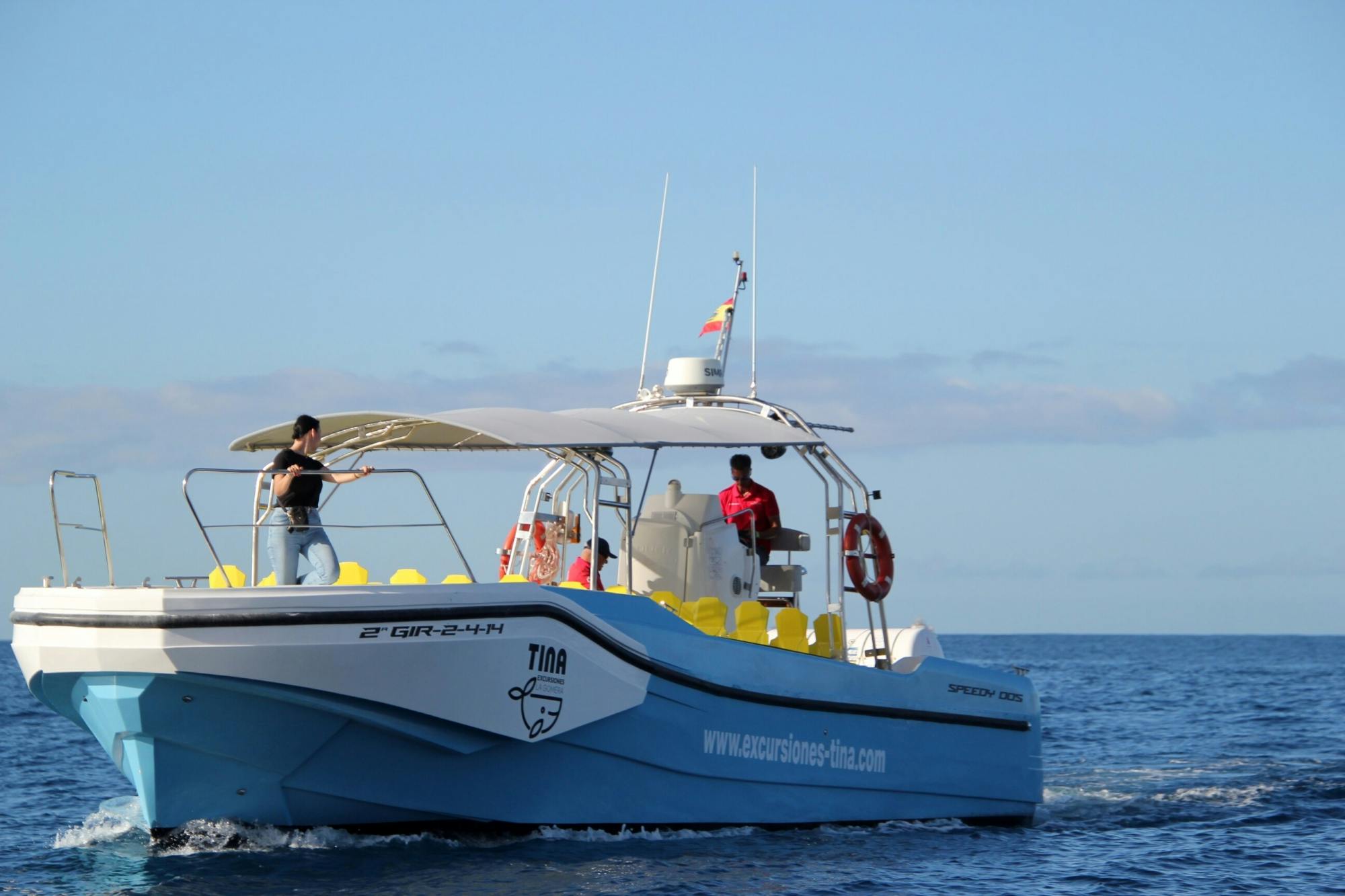 La Gomera Walbeobachtungstour ab Playa Santiago