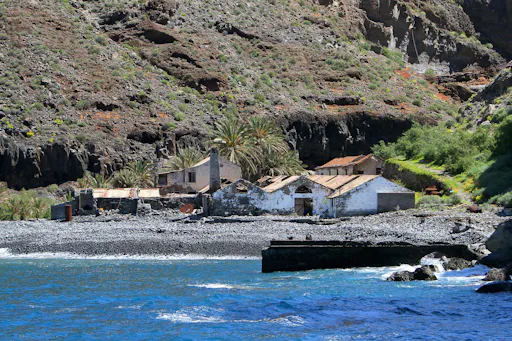 La Gomera Whale Watching Cruise