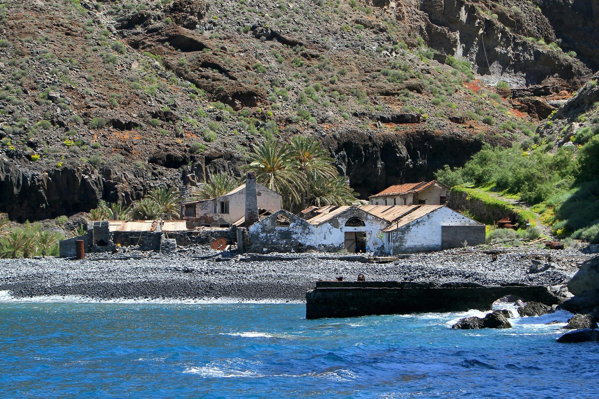 La Gomera Whale Watching Cruise