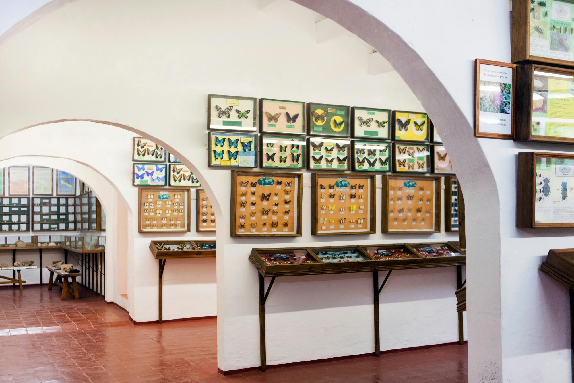 Menorcan historic estate and Natural Science Museum at Binissuès