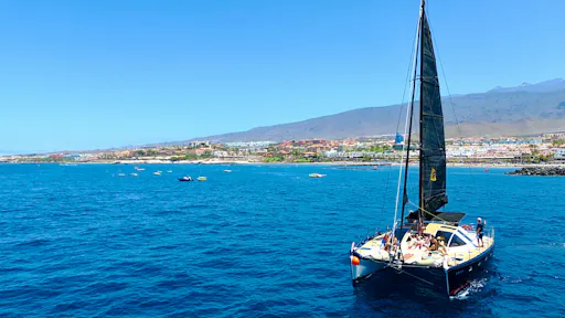 Tenerife adults-only catamaran cruise with drinks and snacks included