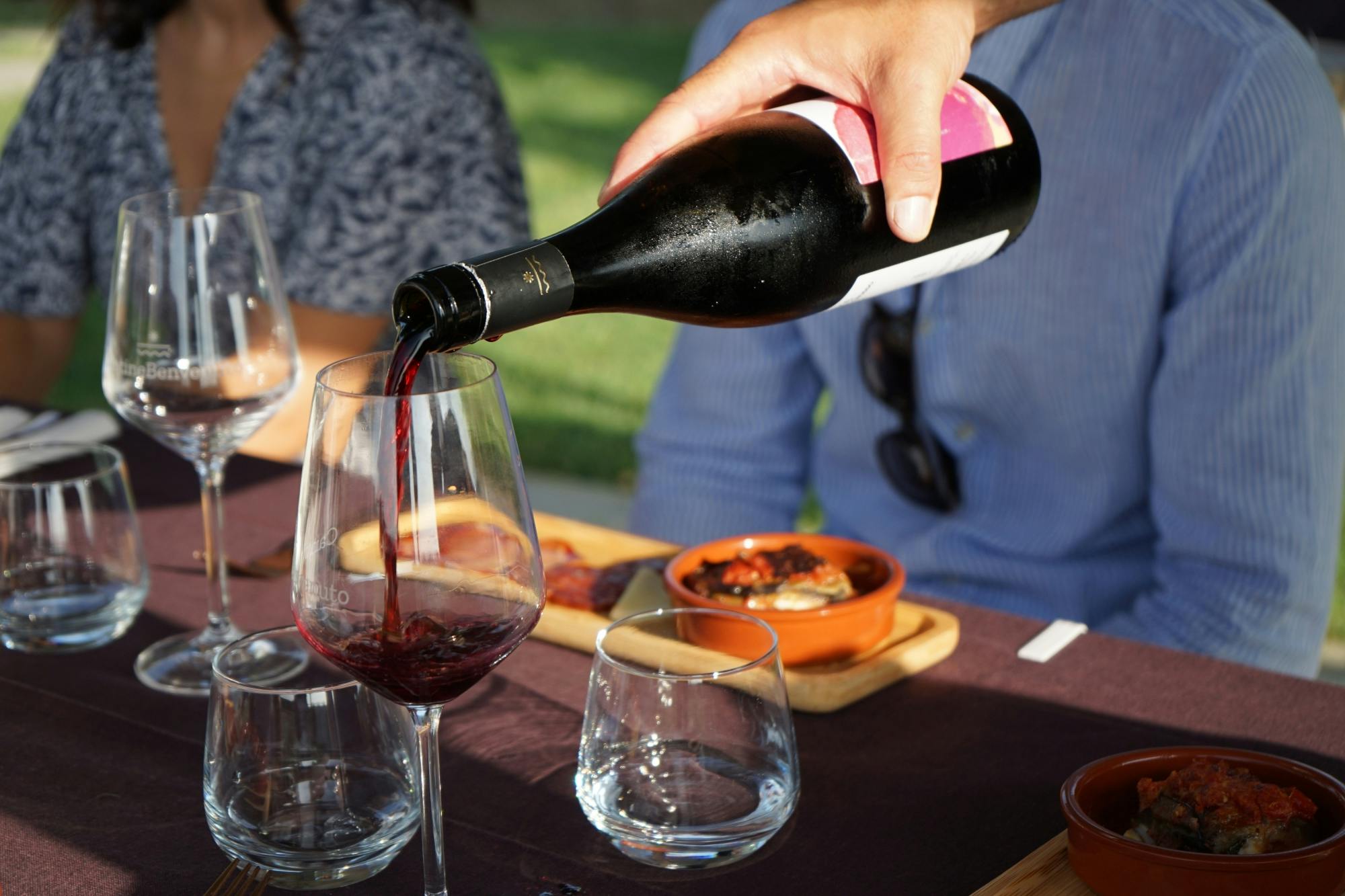 Vintur i Calabria med vinsmaking fra Pizzo
