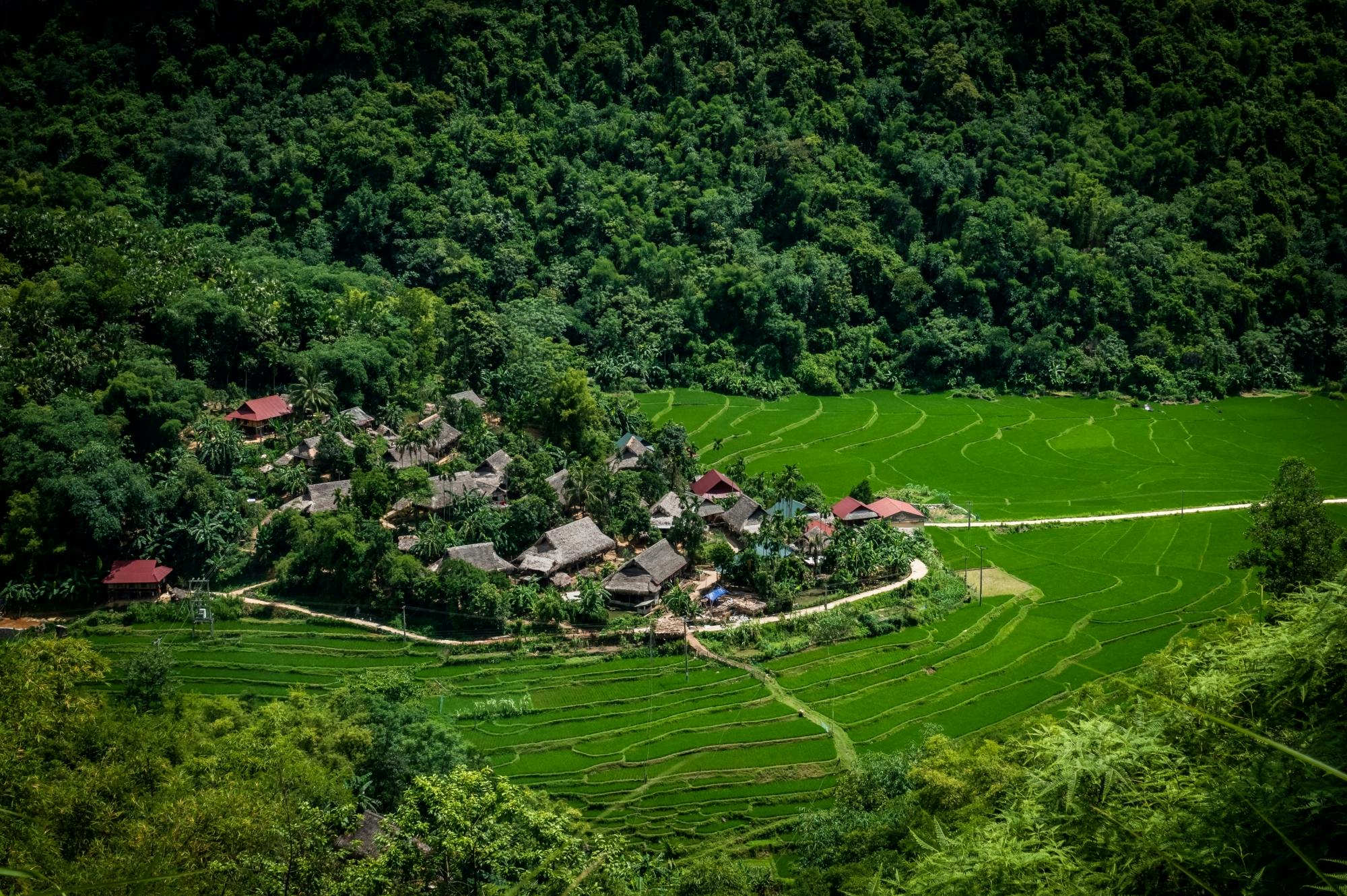 Two-day Pù Luông with terraced rice fields and bamboo rafting