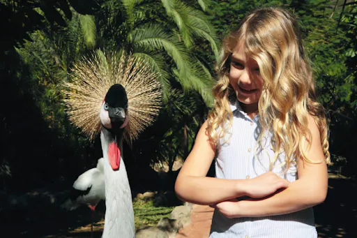 Aqualand and Palmitos Park transfer package