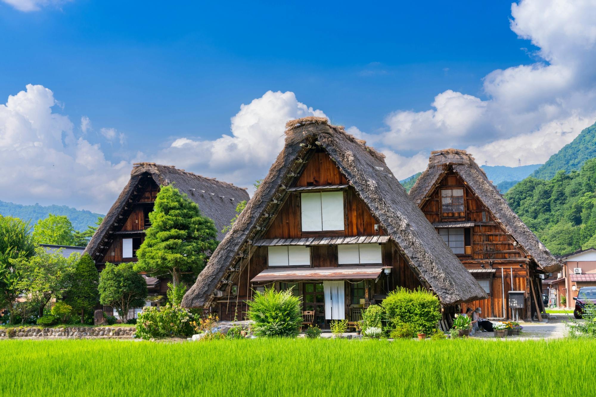 Visita guidata di un giorno a Shirakawago e Kanazawa da Tokyo