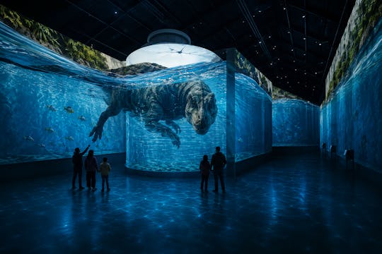 Fabrique des Lumières entrance ticket, audio guide and 1GB eSIM