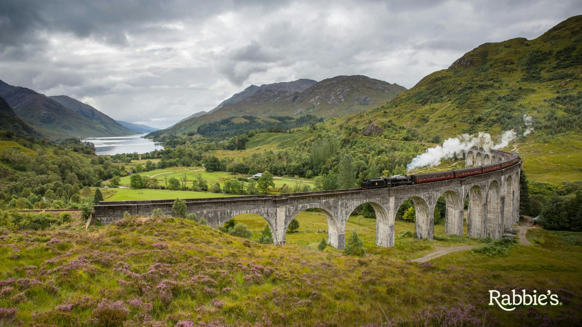 Tour di Glencoe e del viadotto di Glenfinnan da Edimburgo