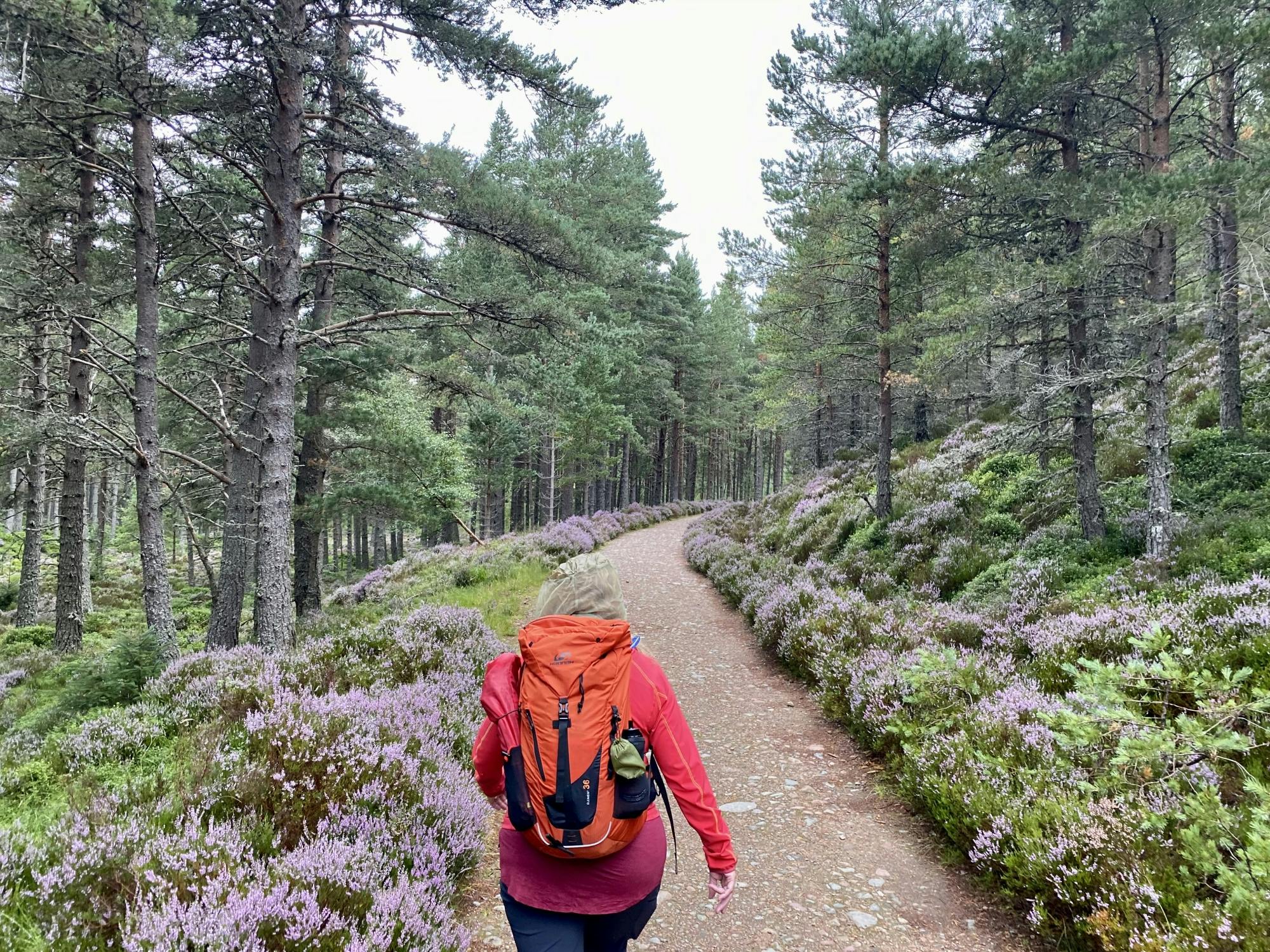 Ganztägige geführte Wandertour durch die schottischen Highlands