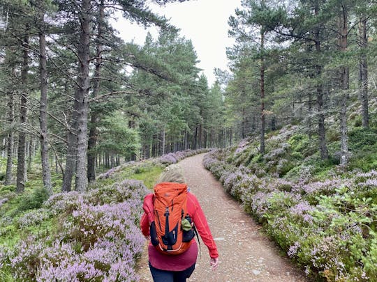 Visita guidata di un giorno alle Highlands scozzesi
