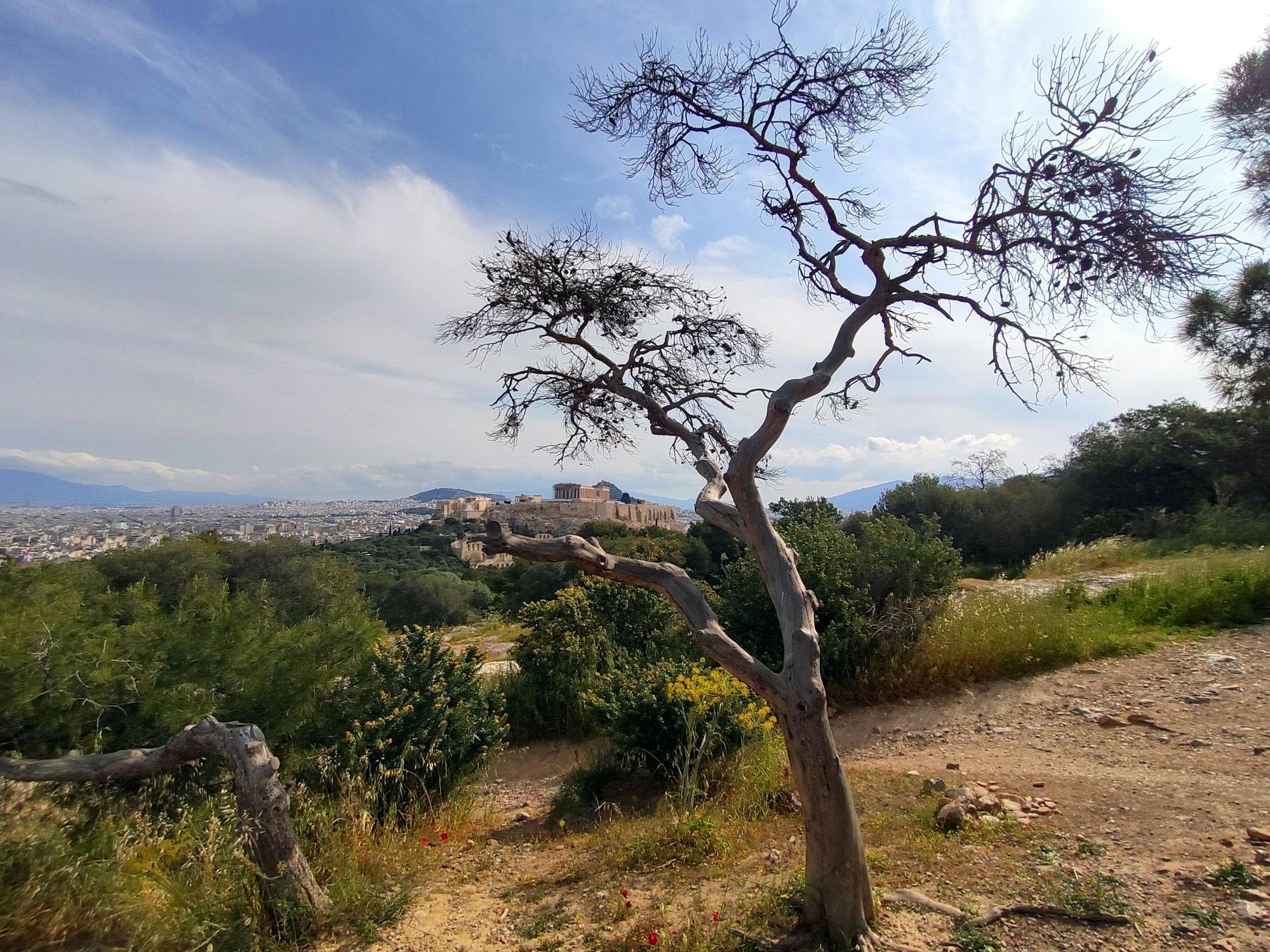 Athens full-day guided tour with Acropolis visit
