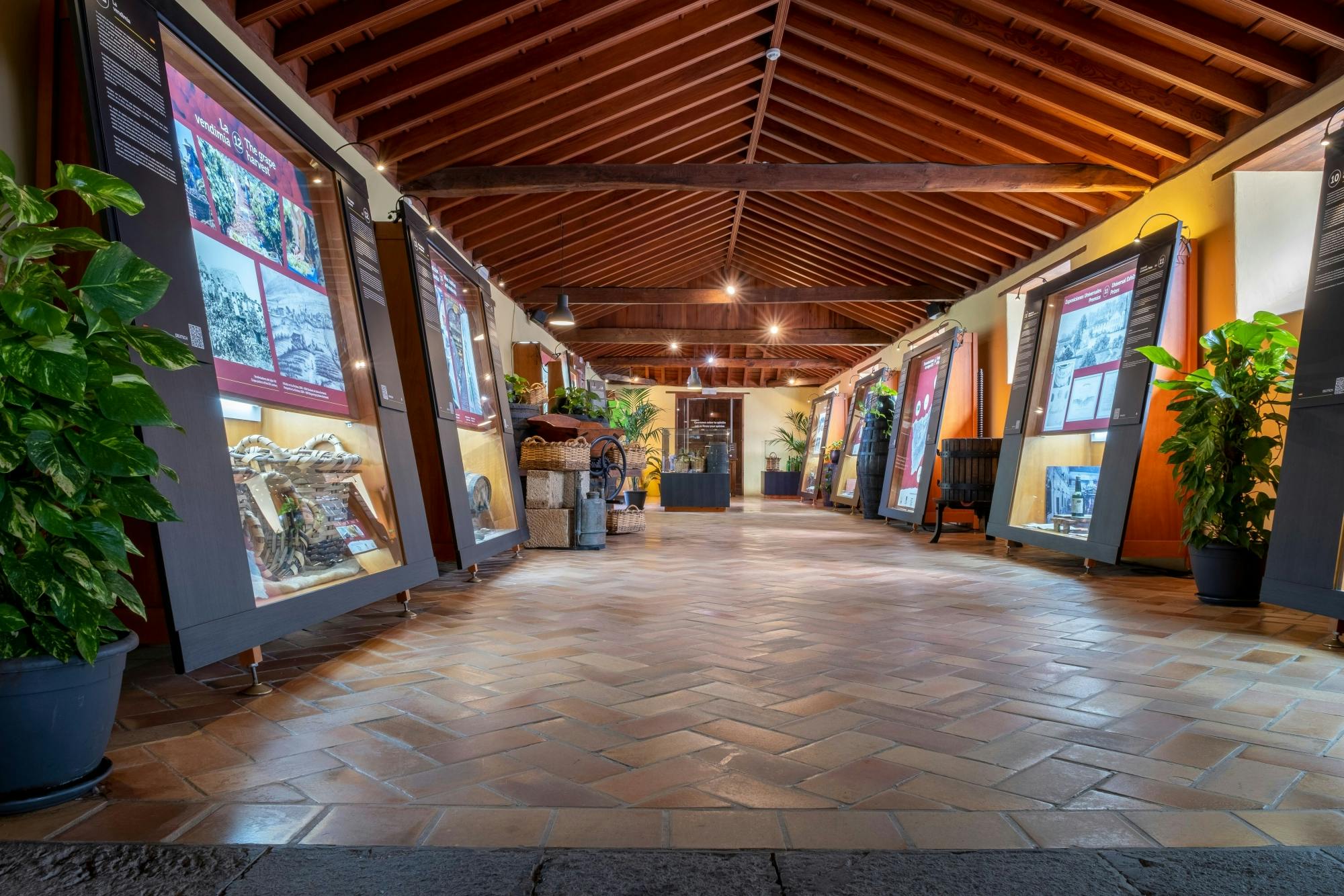 Full-day guided tour of La Laguna with lunch and wine-tasting