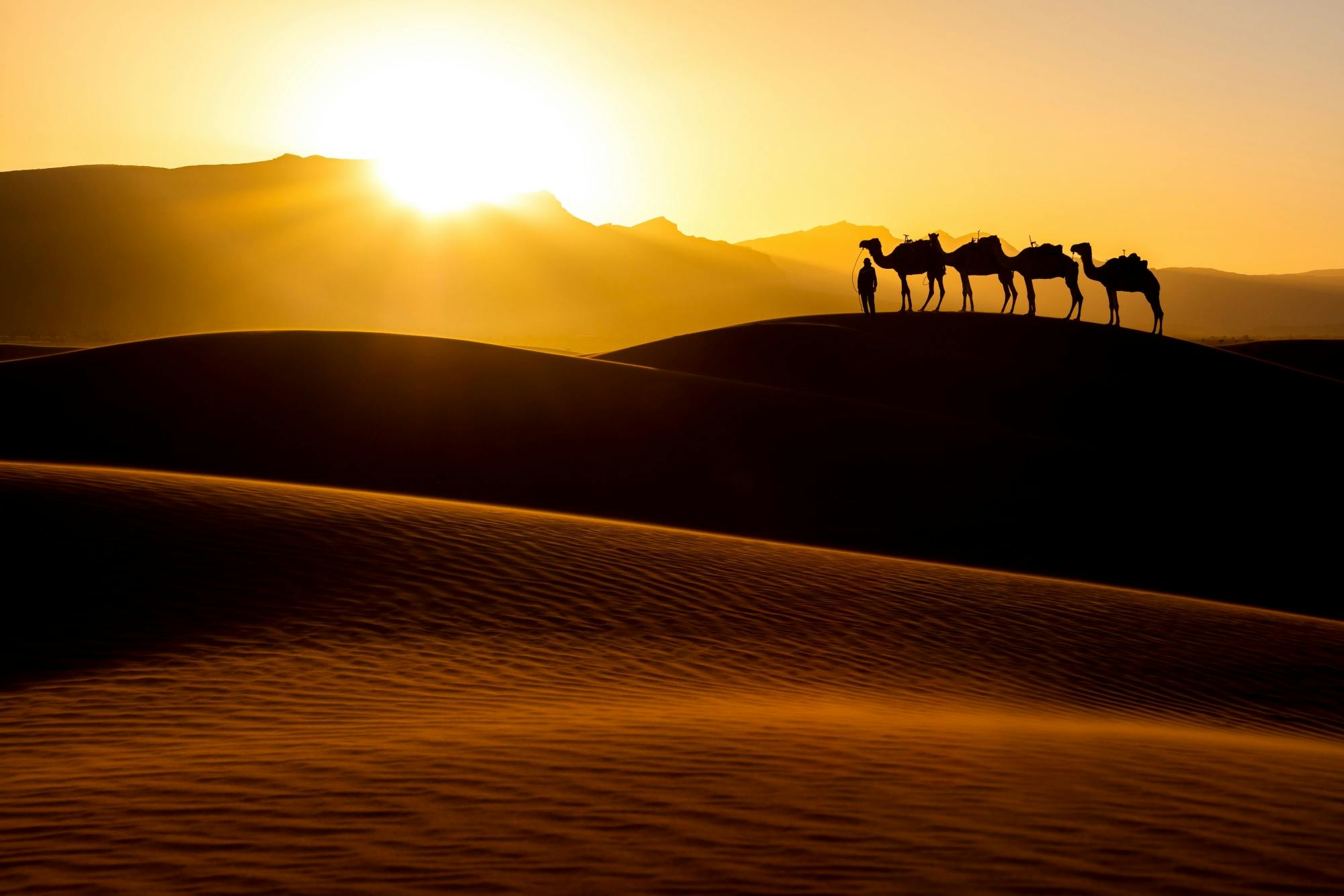 Two-day Moroccan desert and overnight Berber tent experience