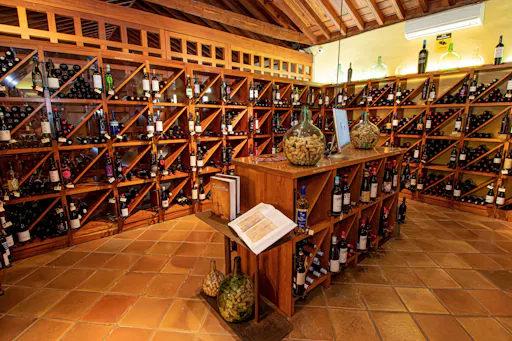 Full-day guided tour of La Laguna with lunch and wine-tasting