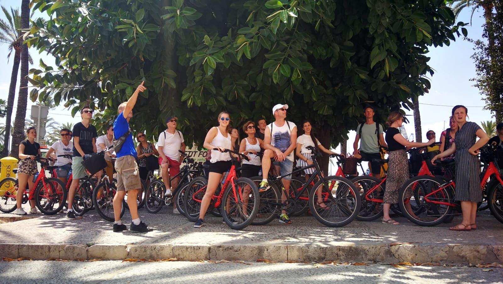 Open Palma Bike Tour by Night
