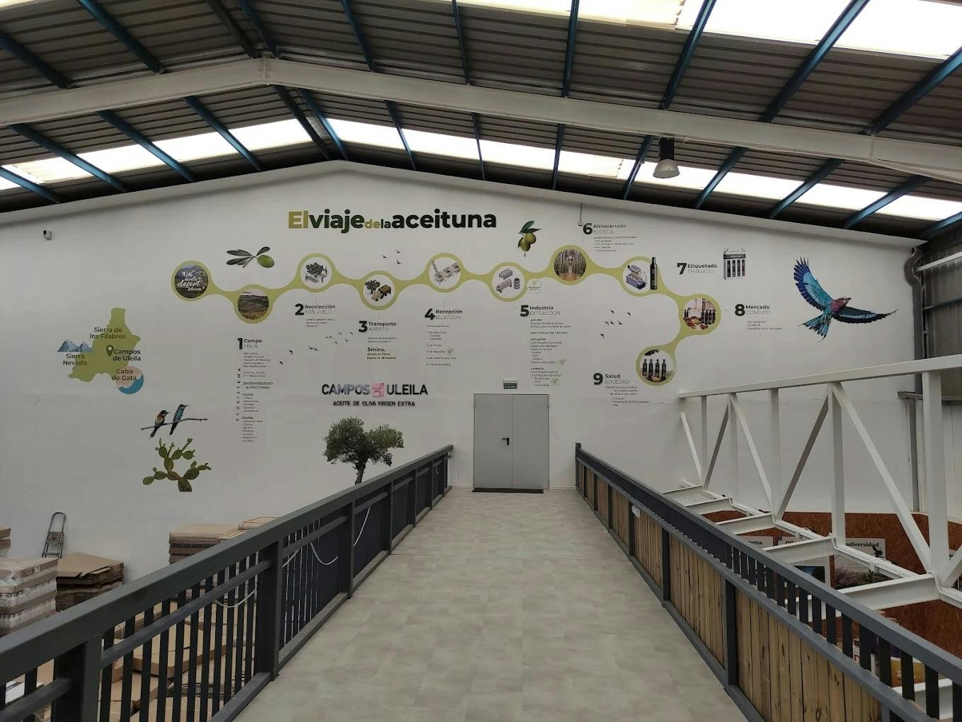 Full-day flavours of Almeria olive oil and wine-tasting tour