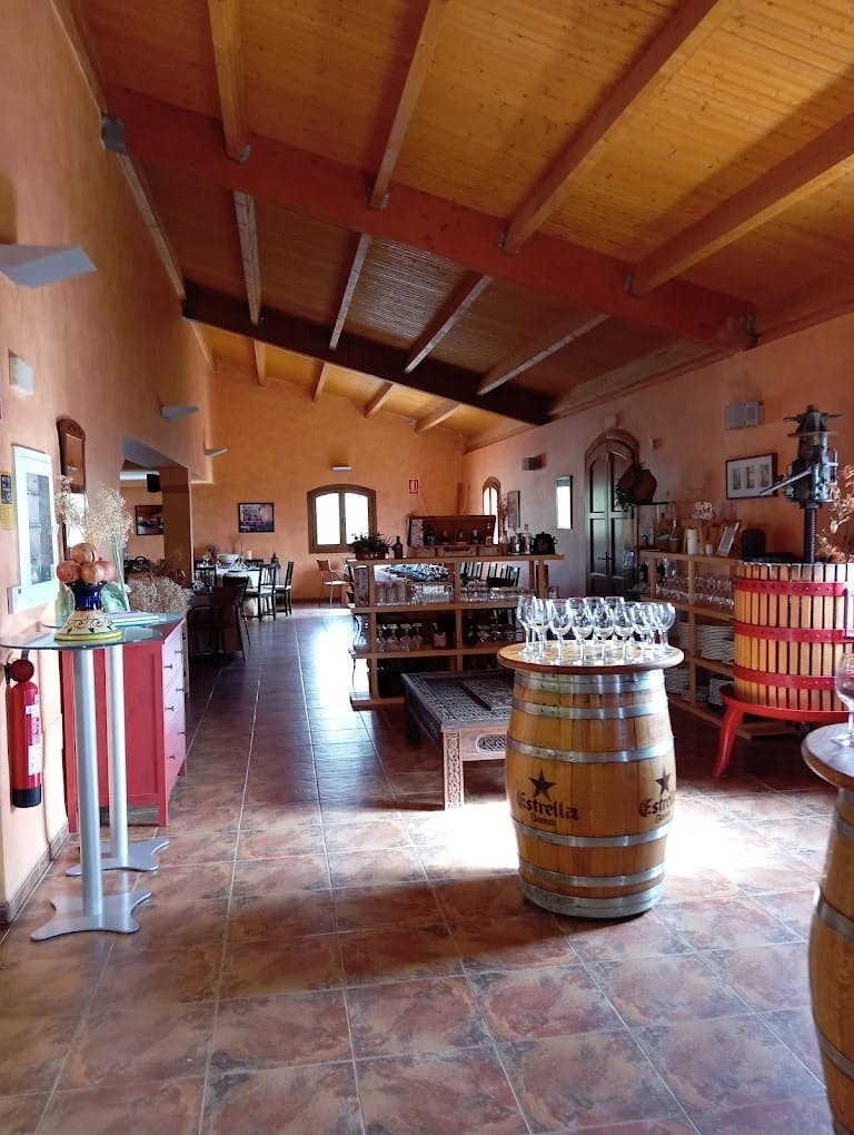 De Hele dag olijfolie en wijn proeven in Almeria