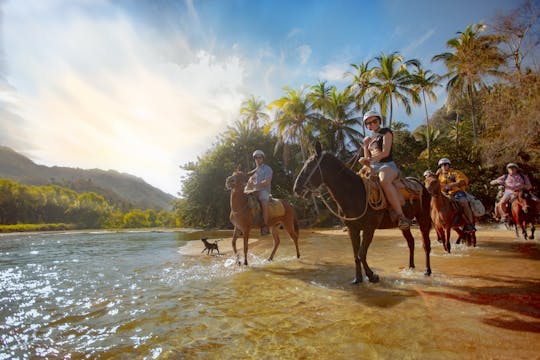 Safari en mer dans la baie de Banderas et billet pour une promenade à cheval
