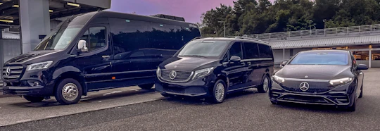 Private transfer from Bergen airport to hotel or harbour