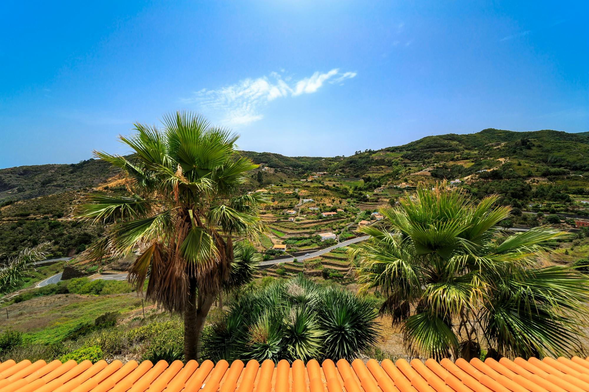 VIP guided tour of La Gomera with Garajonay Park and lunch