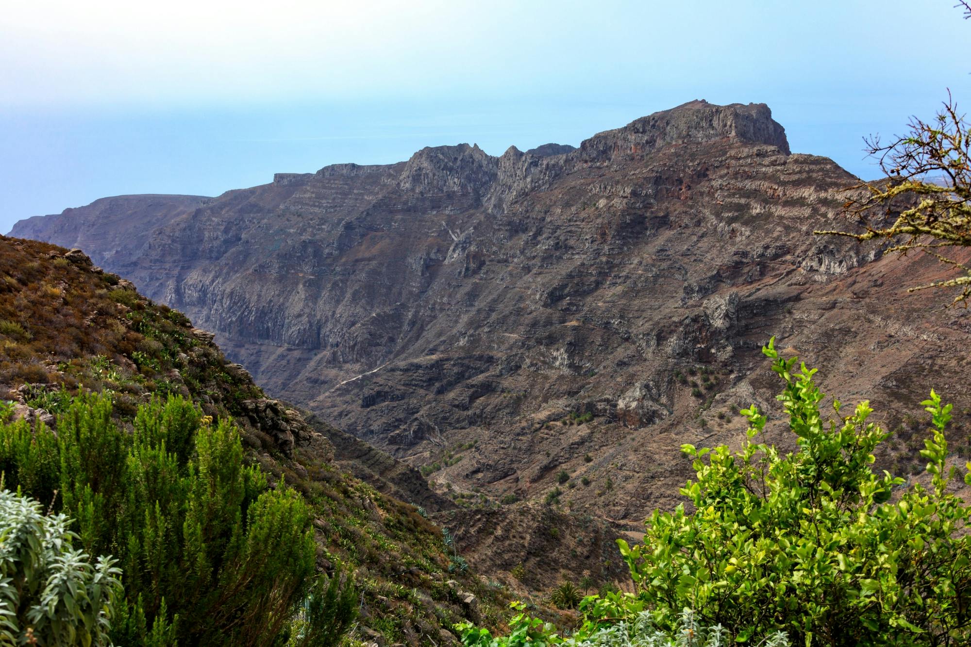 VIP guided tour of La Gomera with Garajonay Park and lunch