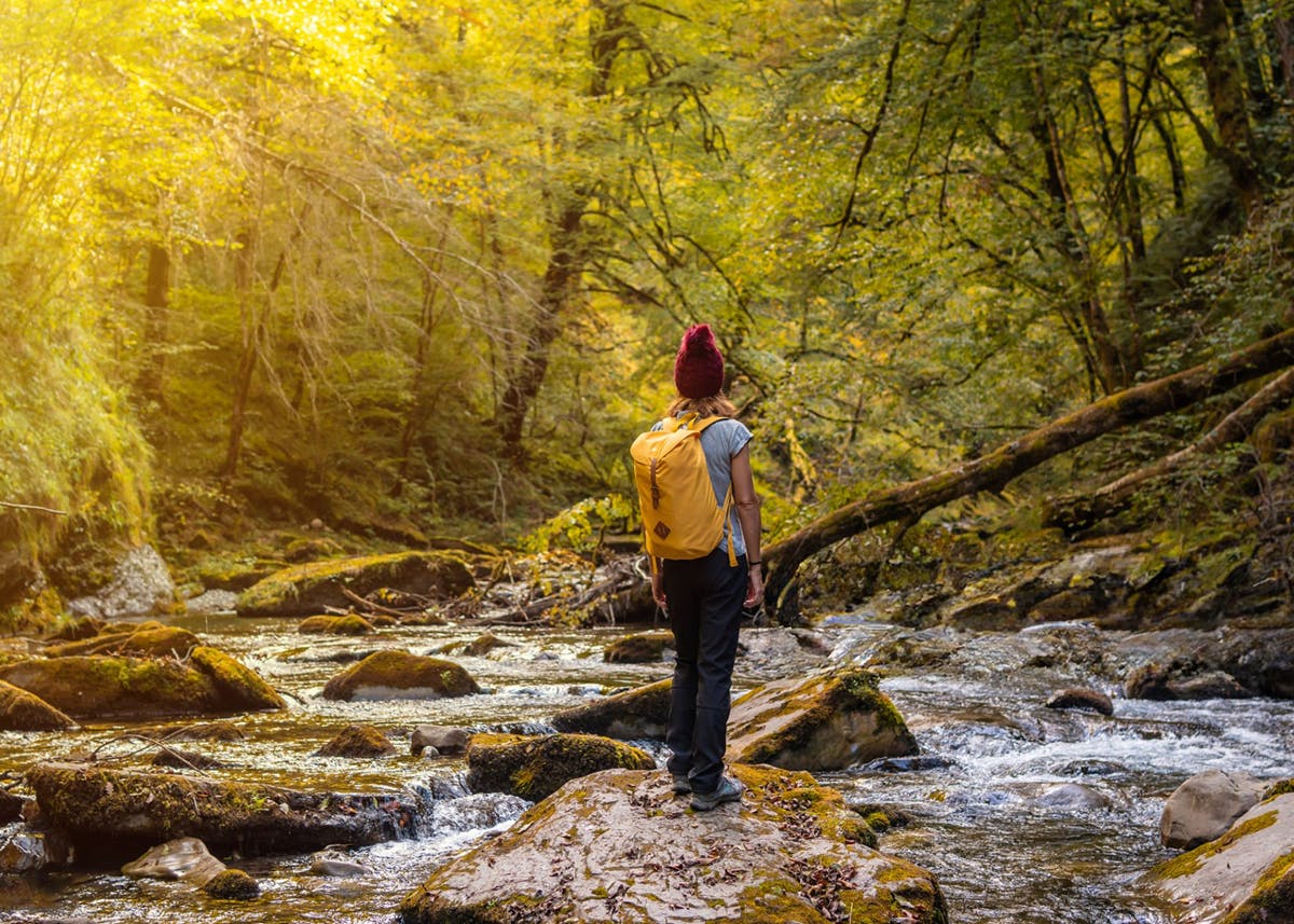 Dagtocht vanaf Pamplona naar Ochagavia en het bos van Irati