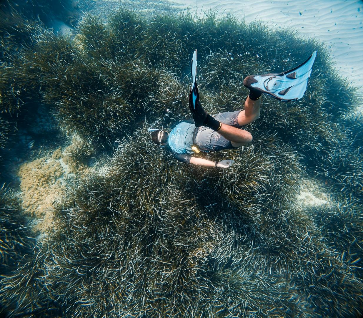 Majorca guided snorkelling tour at Sea & Natural Pool Discovery with Eco Island Adventure with transfer