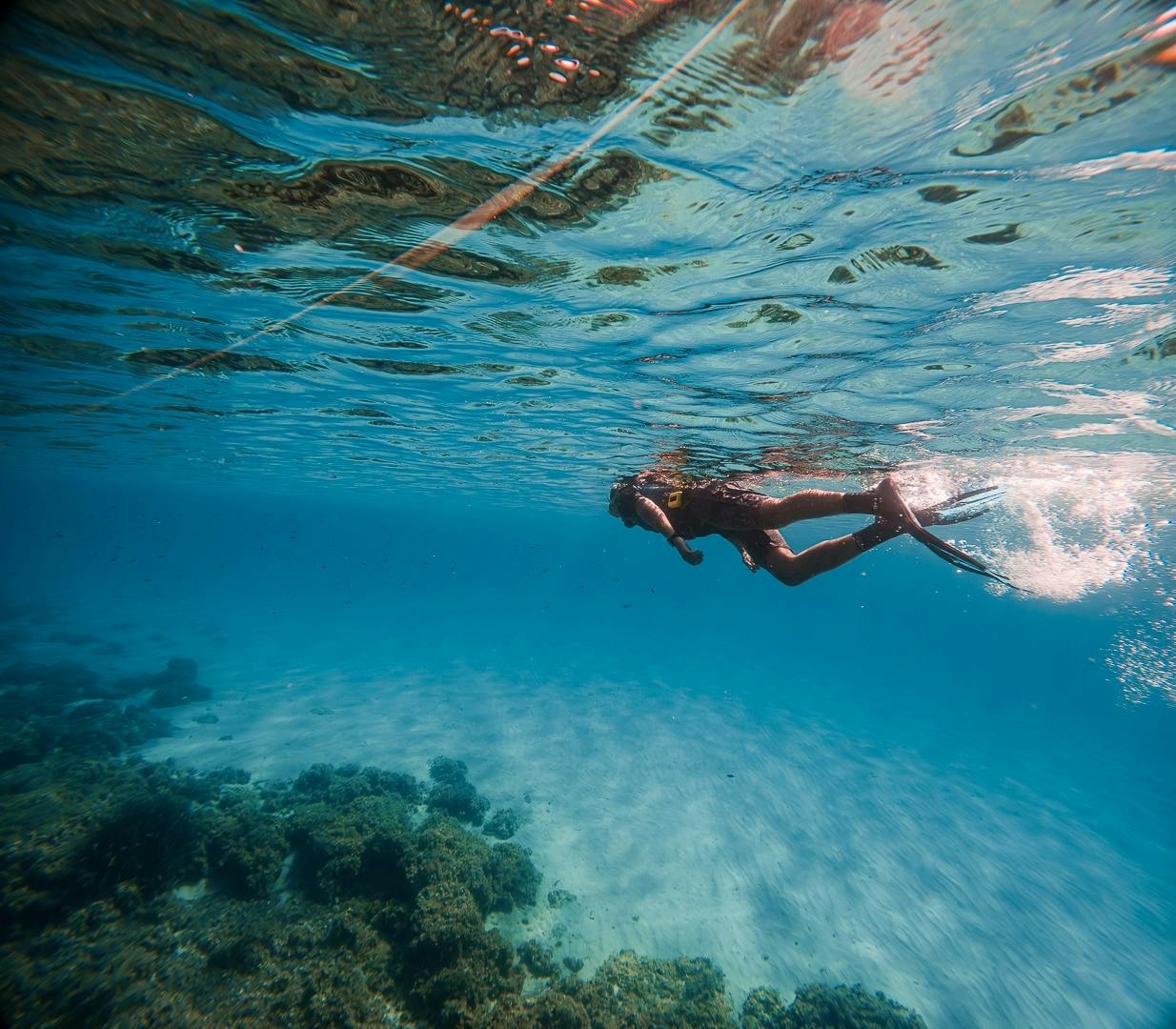 Majorca guided snorkelling tour at Sea & Natural Pool Discovery with Eco Island Adventure with transfer
