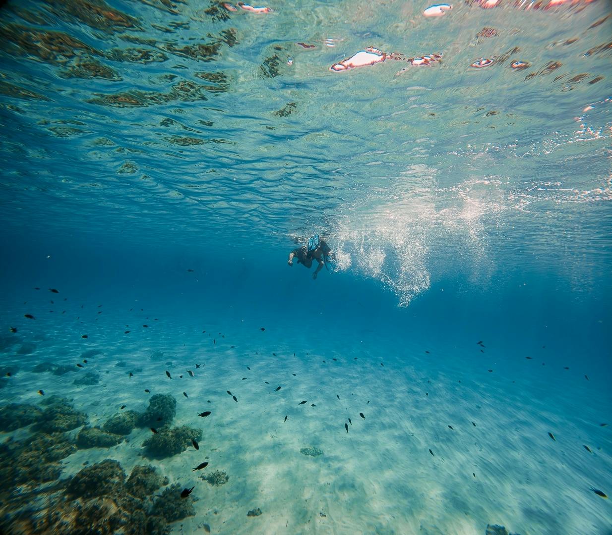 Majorca guided snorkelling tour at Sea & Natural Pool Discovery with Eco Island Adventure with transfer
