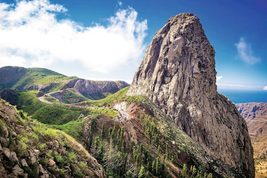 VIP guided tour of La Gomera with Garajonay Park and lunch