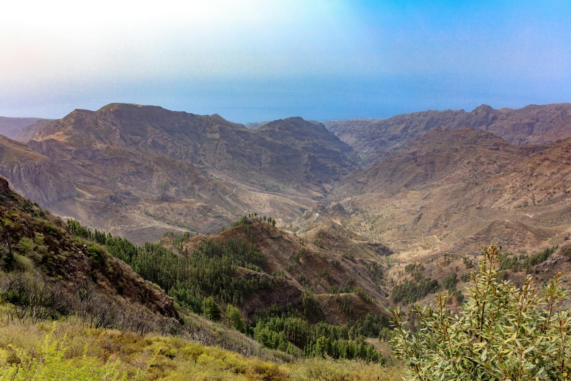 VIP guided tour of La Gomera with Garajonay Park and lunch