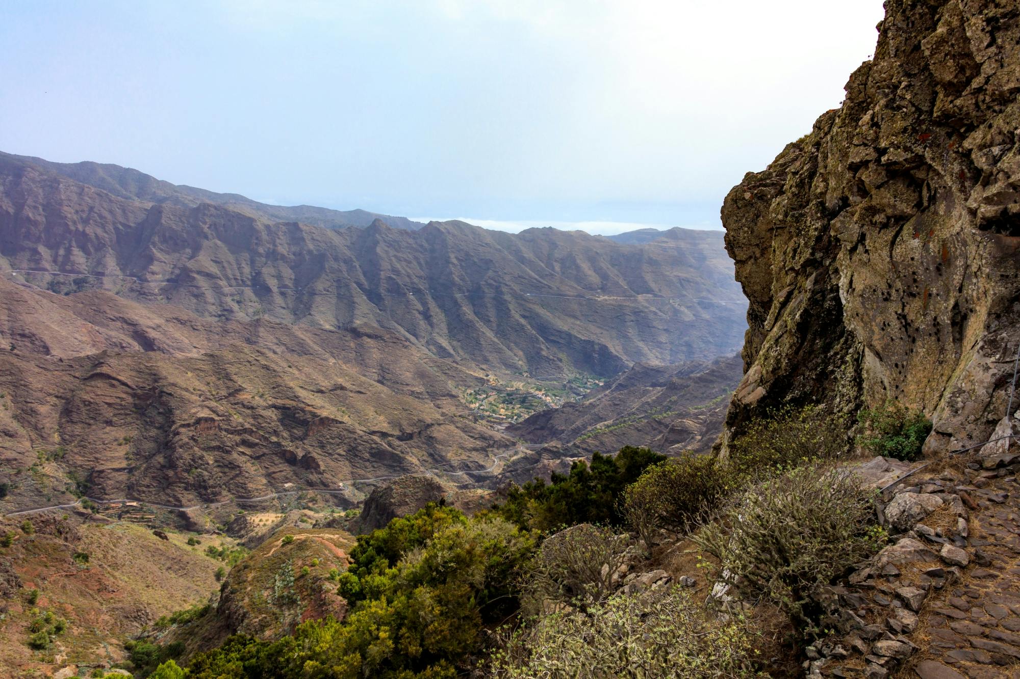VIP guided tour of La Gomera with Garajonay Park and lunch