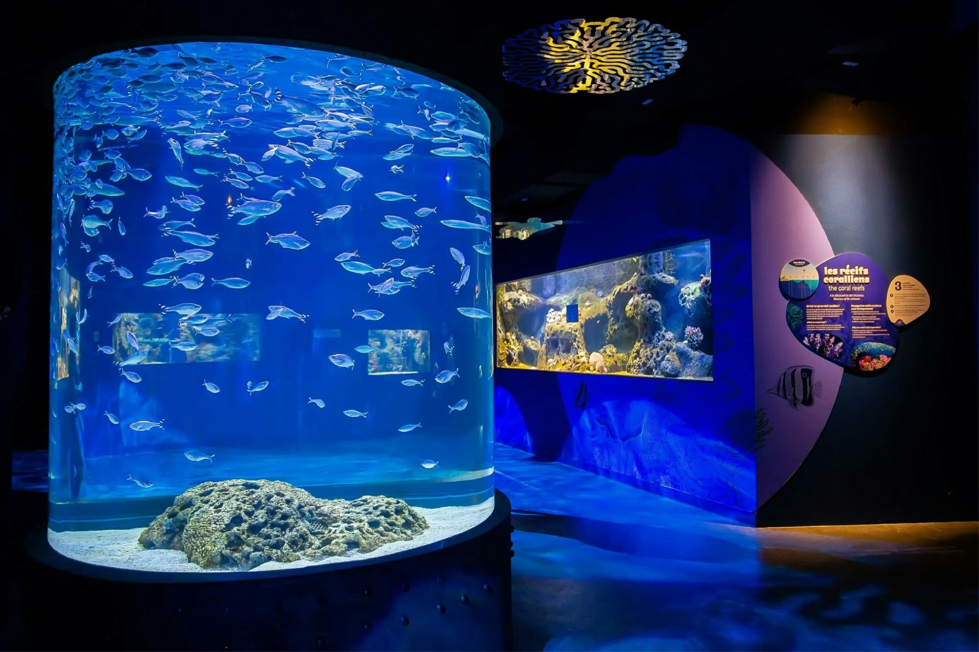 Port Louis city tour with botanic garden and oceanarium visit