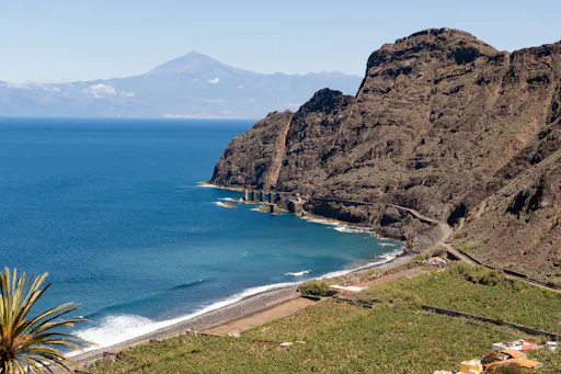 VIP guided tour of La Gomera with Garajonay Park and lunch