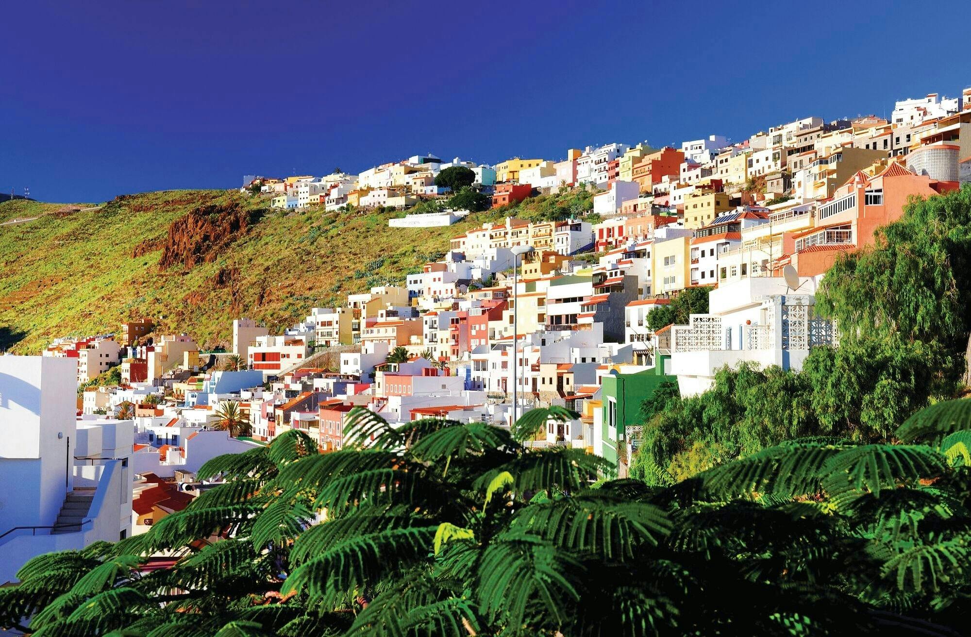 VIP guided tour of La Gomera with Garajonay Park and lunch