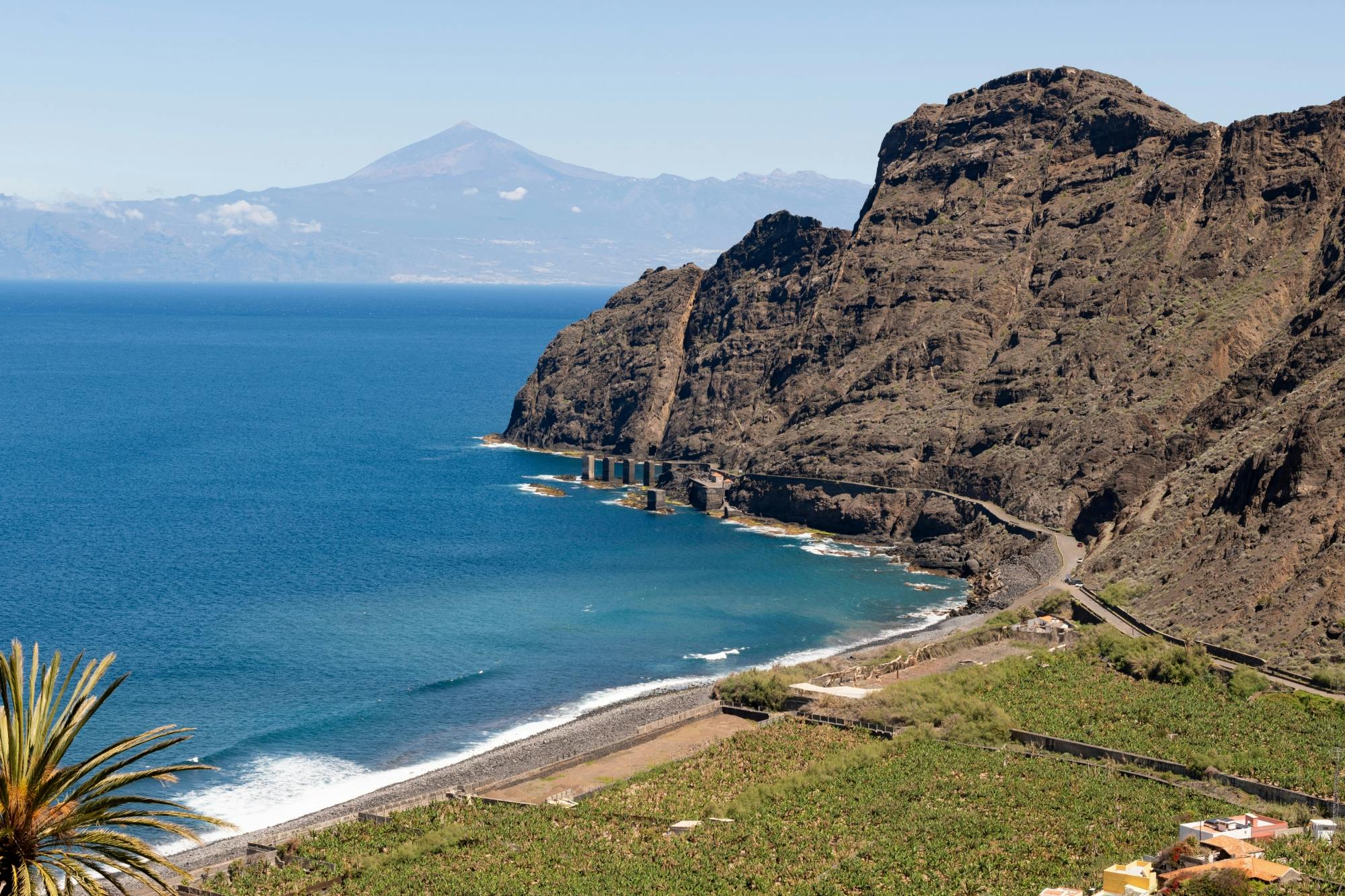 VIP guided tour of La Gomera with Garajonay Park and lunch
