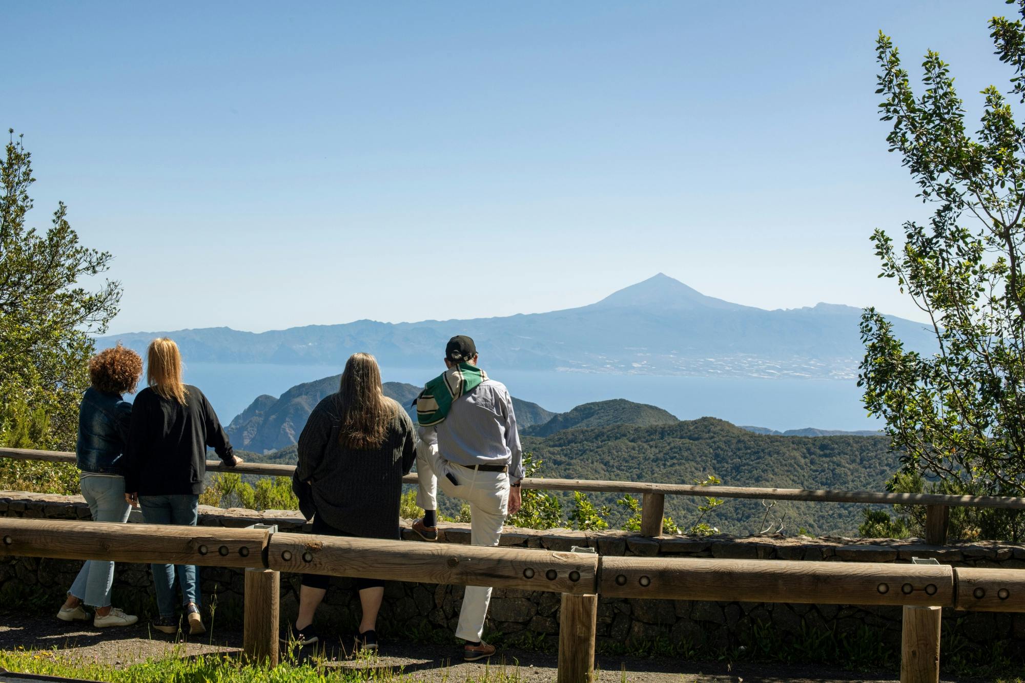 VIP guided tour of La Gomera with Garajonay Park and lunch