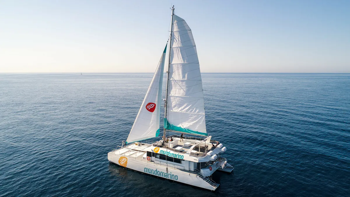 Malaga solar eclipse catamaran cruise