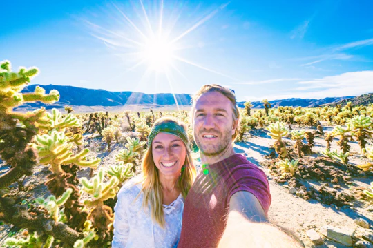 Guided Joshua Tree National Park plus The Richard Nixon Presidential Library and Museum