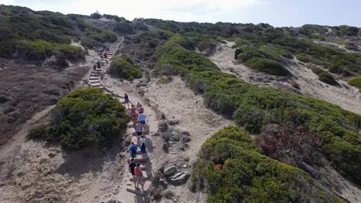 Blue Lagoon, gorge and beach tour by boat and 4x4 in Akamas with lunch