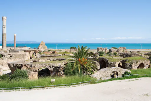 Ancient Carthage and Sidi Bou Said tour with lunch